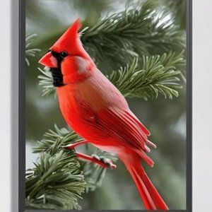 Cardinal Sitting on an Evergreen Branch Diamond Dot Painting